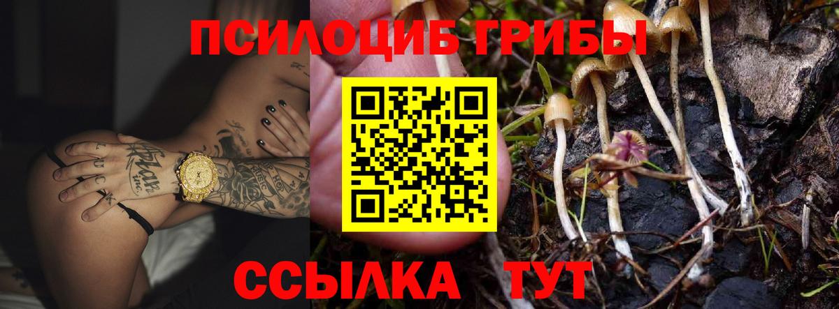 Кирово-Чепецк  где купить наркотик  Вход с VPN  Галлюциногенные грибы GOLDEN TEACHER 